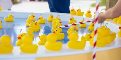 Hook a Duck